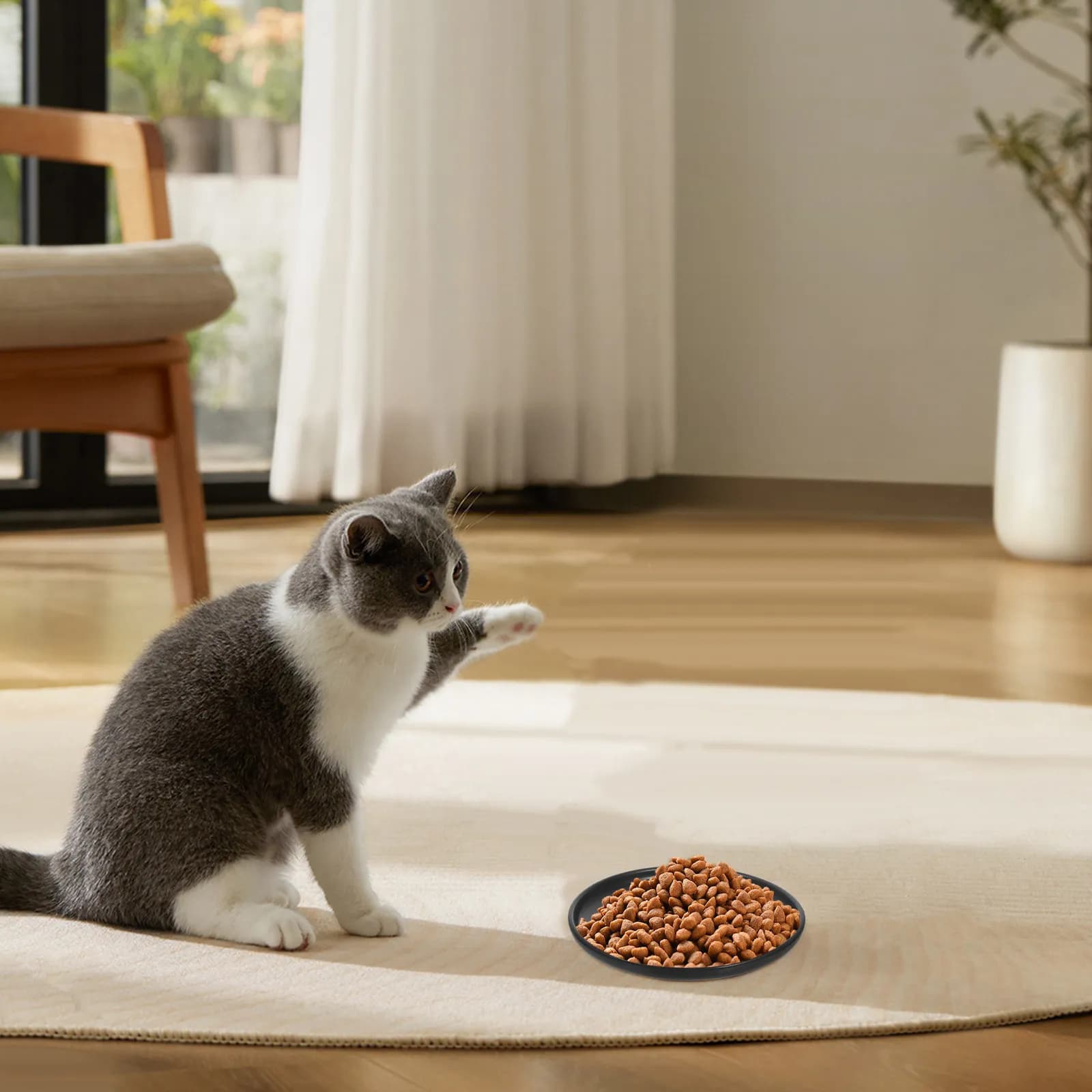 Ceramic Cat Bowl Smooth Surface Large Capacity Pet Shallow Feeding Dish Easy to Clean Protective Cat Food Bowl Dog Treats Plate