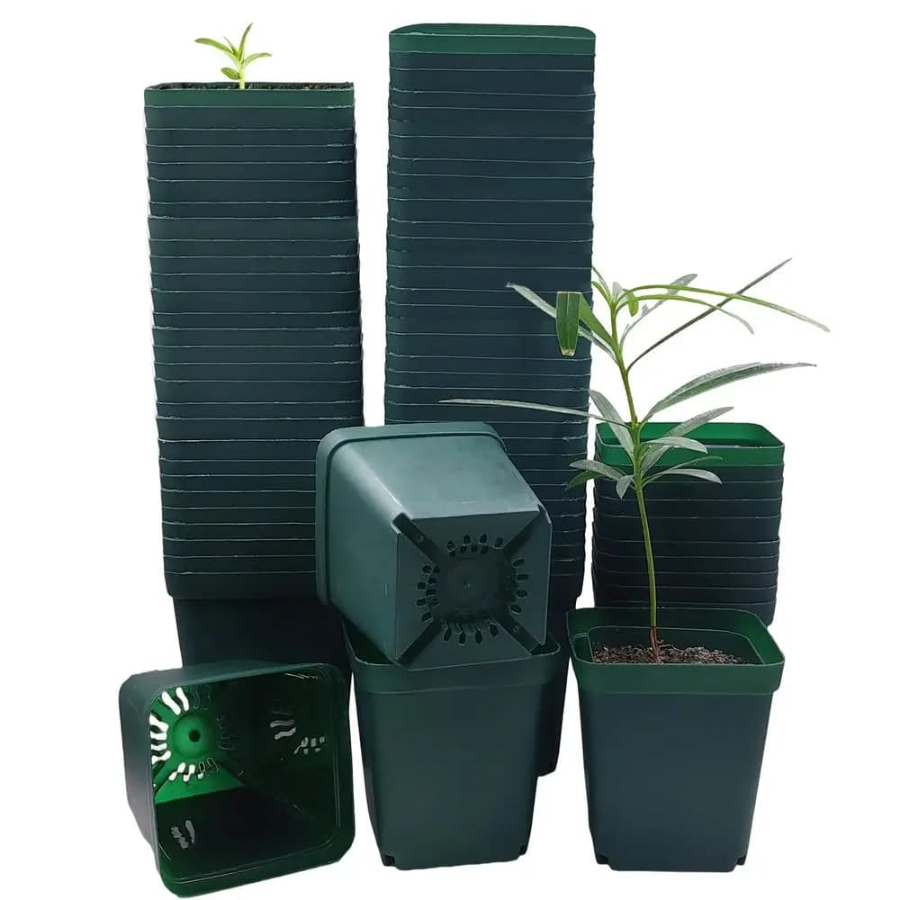 Vase for 3.5 Inches, 90 Pieces, Small Plastic Vase and Robusta for Germination and Propagation Plants