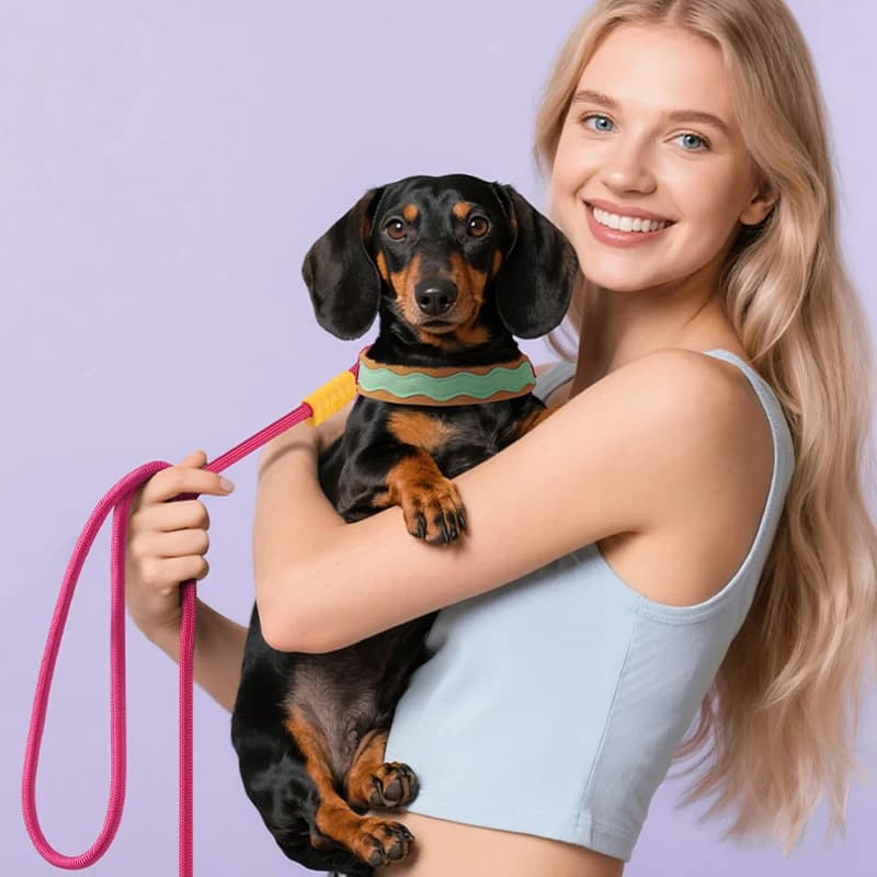 F5999-1 Dopamine-Inspired Vibrant Dog Harness and leash: Saddle-Style, Comfortable & Breathable for Small to Medium Breeds