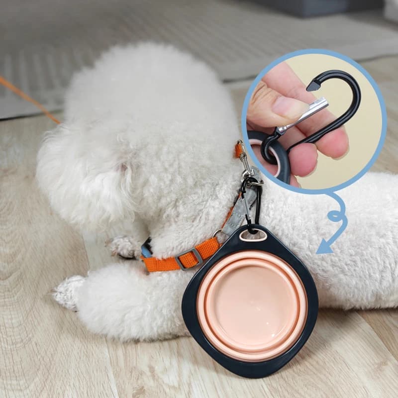 Ciotola Pieghevole in Silicone per Animali Domestici, Portatile per Viaggi all'Aperto, Ciotola per Cibo per Cuccioli, Ciotola in Silicone per Cani