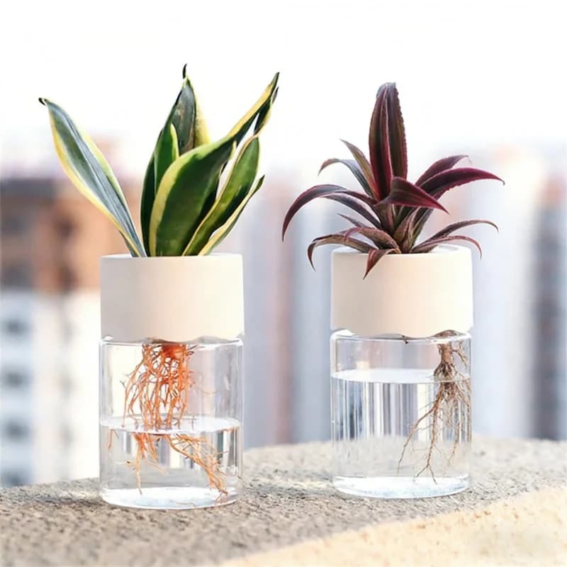 Mini Table Hydroponic Vase Transparent Glass Imitation for Green Plants Without Terriccio, Creative Container for Indoor Home Growing