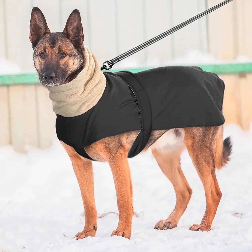 Cappotto Invernale per Cani alla Moda, Antivento, Caldo e Imbottito, con Collo Alto, Giacca per Cani Bicolore con Cinghie Regolabili, Tuta Invernale per Cani