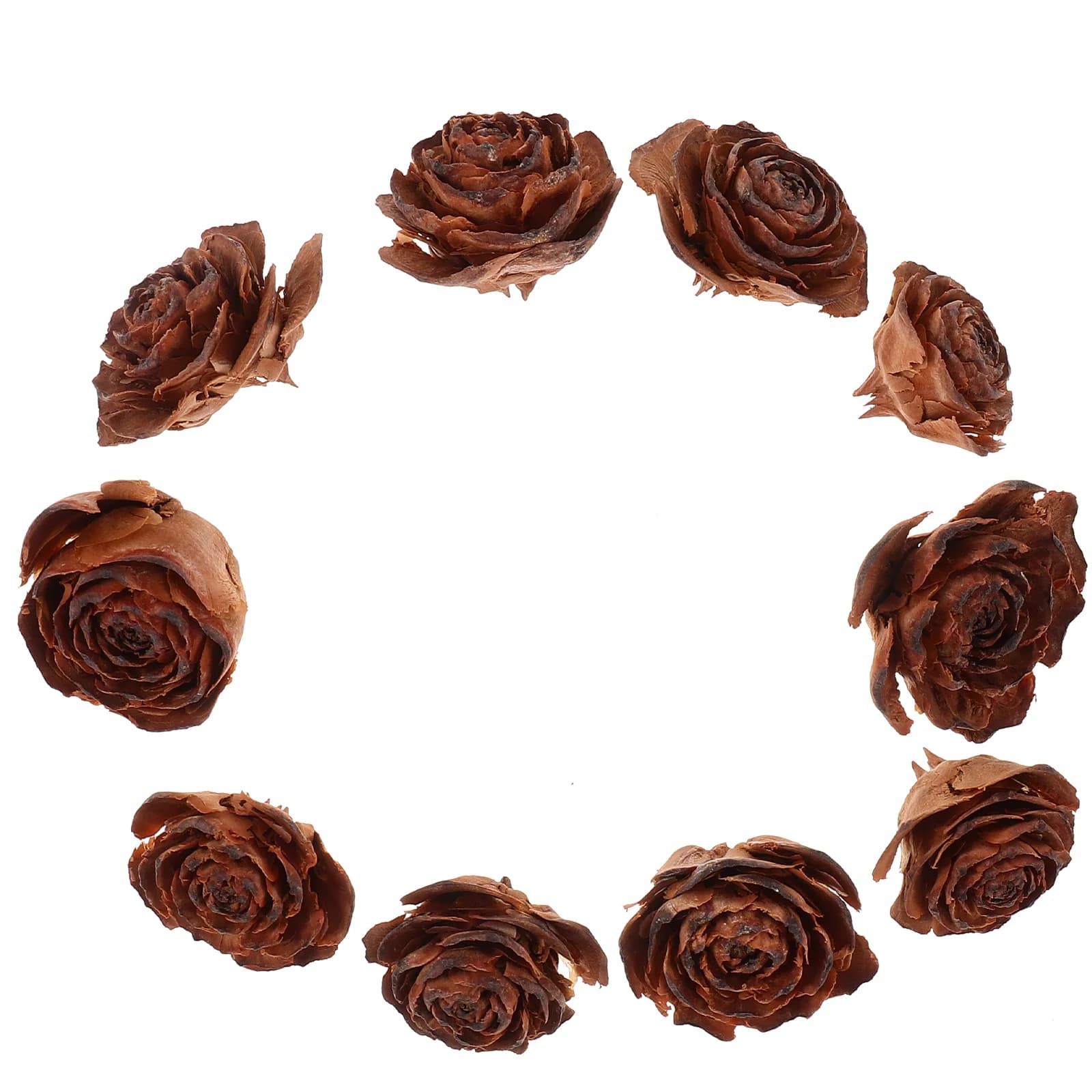 10 pezzi di fiori secchi pigna campione di frutta naturale cornice per foto piante artificiali forniture artigianali materiali per fiori fai da te