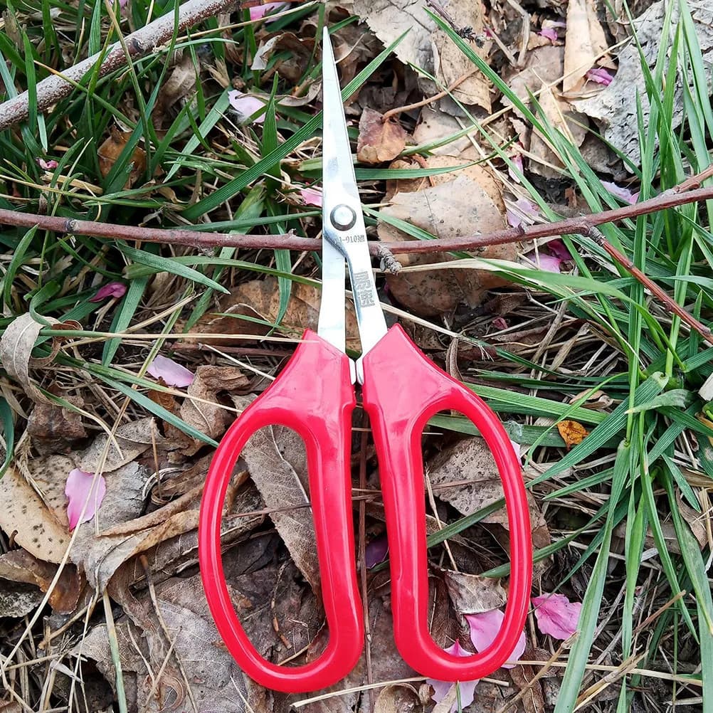 Forbici per Frutta Compatte e Sicure, Cesoie da Potatura per Fiori, Piante, Erbe e Rami, Attrezzo Professionale da Giardinaggio, Potatore per Frutteto