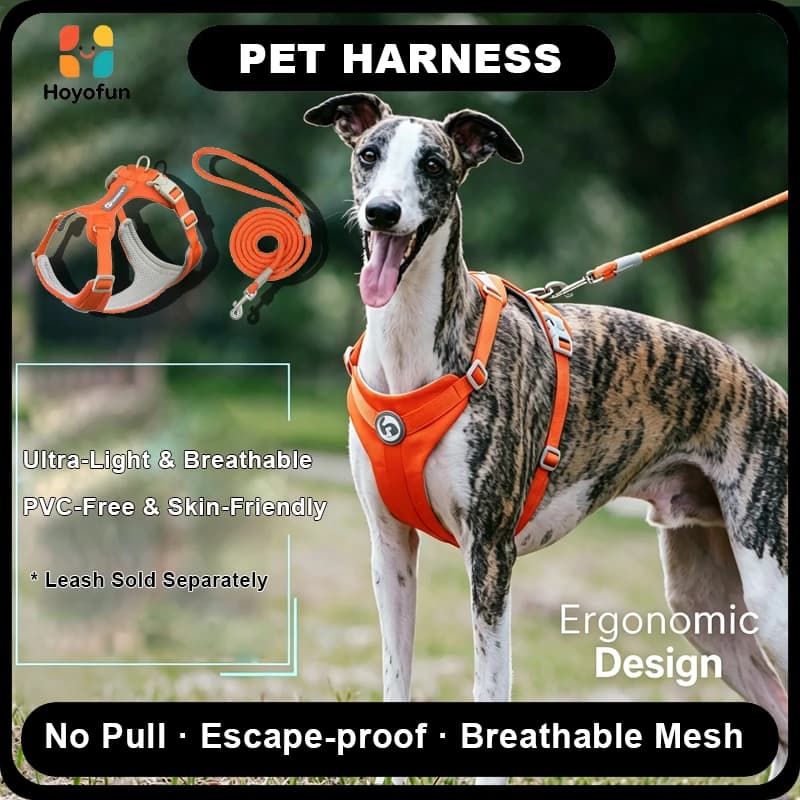 Ergonomic No Pull Pet Harness with 150cm Leash Lightweight Adjustable Vest for Small Medium Dogs Cats