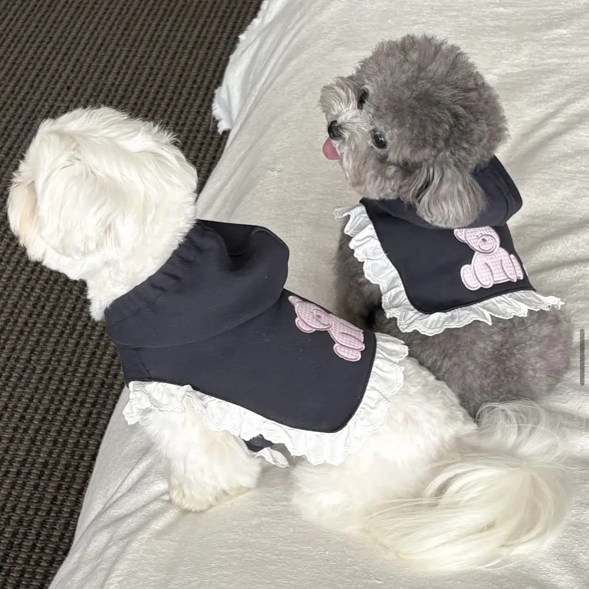 Pet Embroidery Teddy Bear Hoodie Pet Shawl Warm Autumn and Winter Small Dog Cat Hooded Lace Vest Puppy Clothes