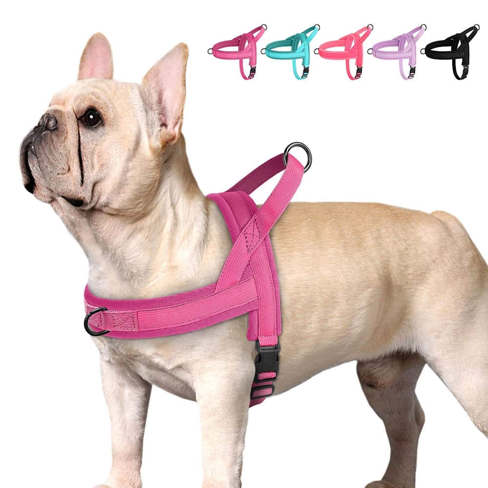 Gilet per imbracatura per cani imbottito in Nylon gilet regolabile per gatti per animali domestici Soft Outdoor No Pull Bulldog francese Chihuahua Pet Puppy Harness Vest Perro