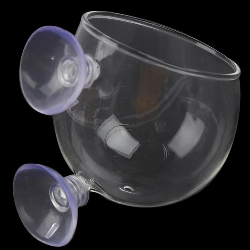 ^Fish Tank Mini Crystal Glass Pot Water Potted Aquatic Planting Cylinder Cup