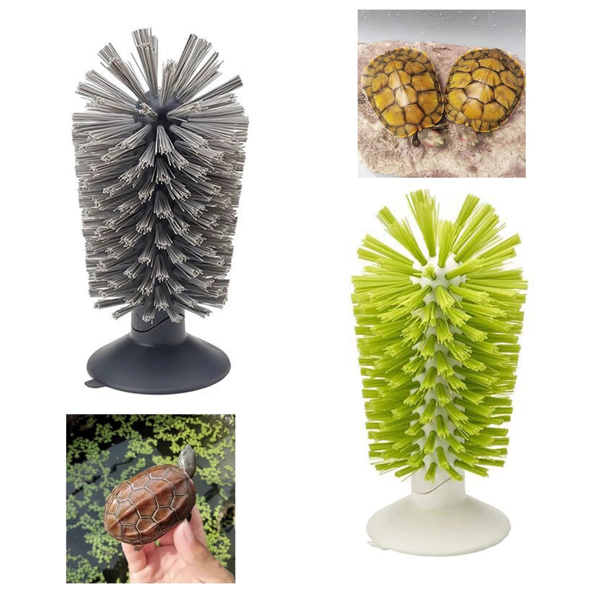 Turtle Tank Scrub Brush with Suction Cups Amphibian Reptile Shell Cleaning Exfoliation Tool for Removing Scutes Promoting Health