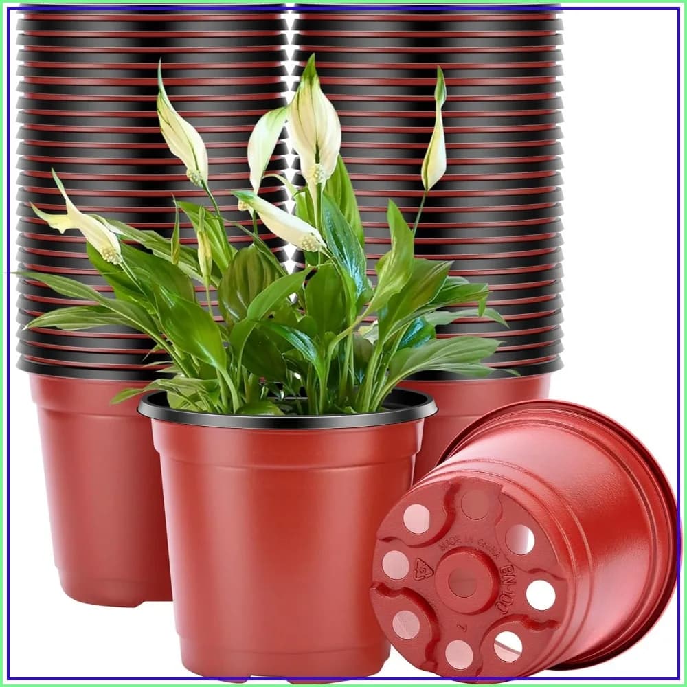 50 Pcs 6 Inch Plastic Plant Nursery Pots, Seed Starting Container for Seedlings, Cuttings, Transplanting