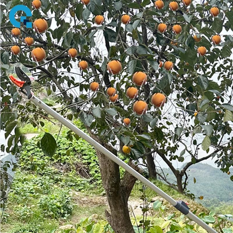 Raccoglitrice di frutta Cesoie telescopiche allungate ad alta quota per raccoglitrice di frutta Cesoie telescopiche per rami alti Dispositivo per la raccolta della frutta