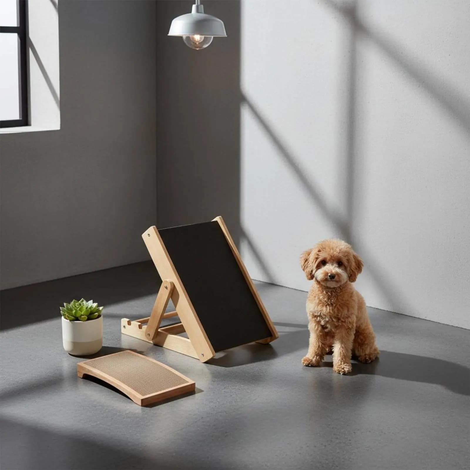 Rampa per cani in legno con telaio robusto, tavola per limare le unghie, accessori per animali domestici, inclinazione regolabile, design pieghevole per la casa