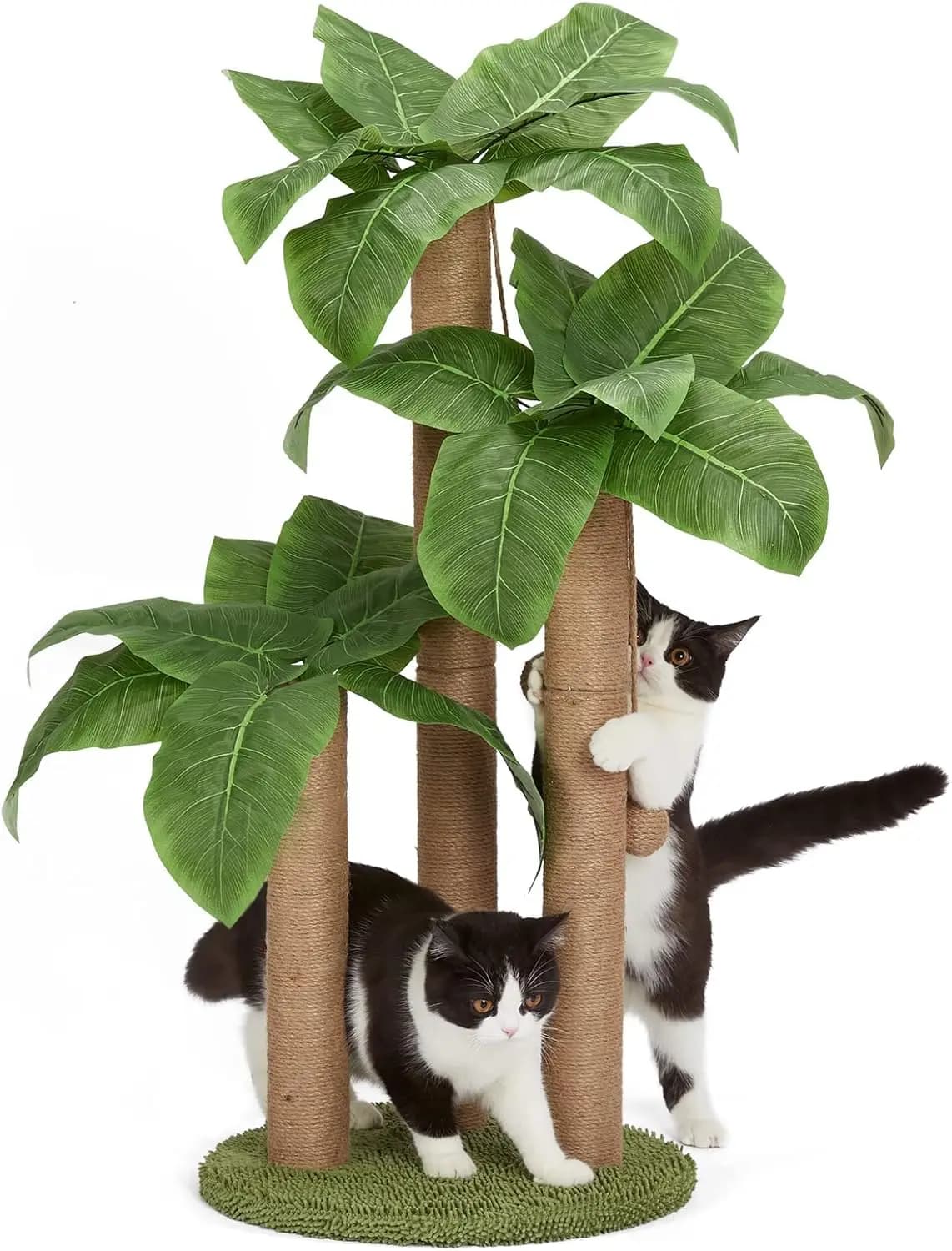 Tiragraffi per Gatti da 31,5 Pollici, Tiragraffi a Forma di Albero con 3 Pali e 2 Palline Interattive Pendenti, Tiragraffi per Gatti
