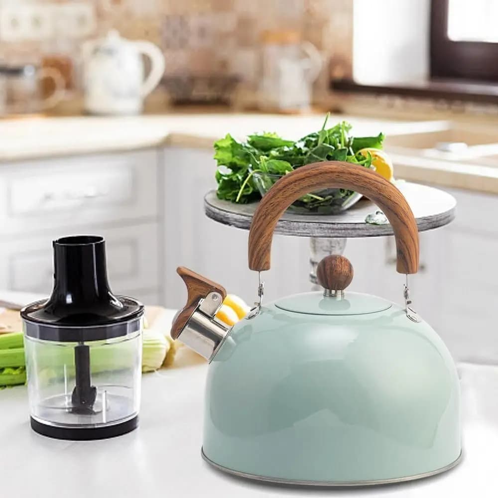 Bollitore a gas da 3 litri Attrezzatura da campeggio facile da pulire Materiale in acciaio inossidabile Teiera da cucina Manico resistente al calore