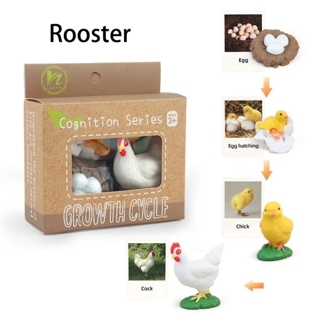 Cycle Action Figures Animal Life Cycle Children Animal Growth Cycle Model Life Cycle Figurine Simulation Plant Model