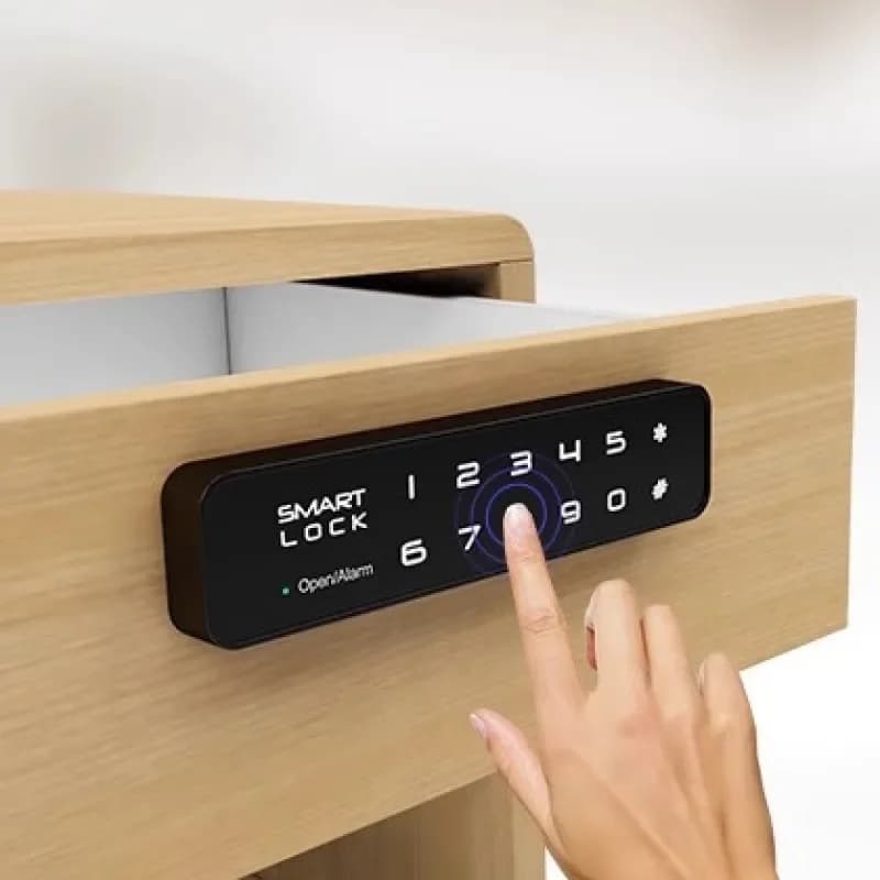 Password Sblocco Serratura per cassetti per ufficio Sauna Armadietti per palestra Armadietti per hotel Serratura per porta senza chiave Serrature per porte intelligenti digitali