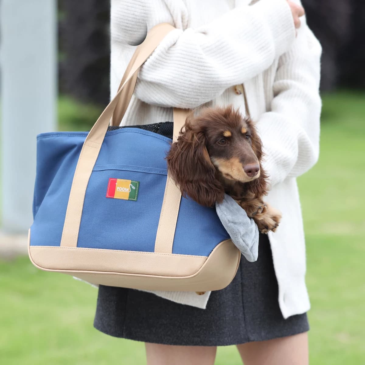 Trasportino per animali alla moda per bassotto Bulldog francese Yorkie Borse da trasporto per cani morbidi Leggero con fodera rimovibile