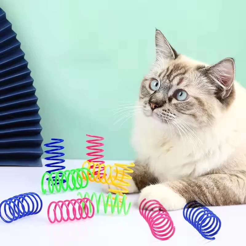 Colorful Plastic Toy for Spring Cats Interactive Toy for Pet Jumping For Cats Fun Toy for Pet Resistant Elastic Chewing Funny