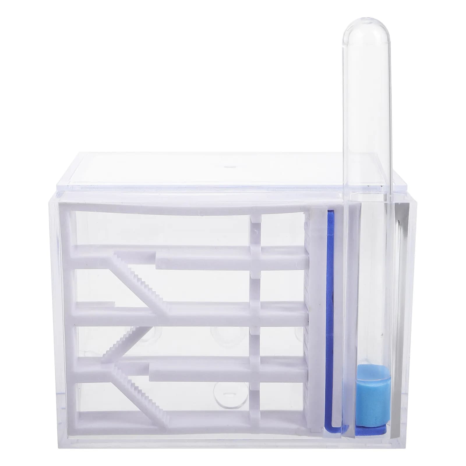 Kit di Osservazione della Colonia di Formiche in Acrilico, Progetto Educativo STEM per Bambini, Studenti e Adulti, Interattivo