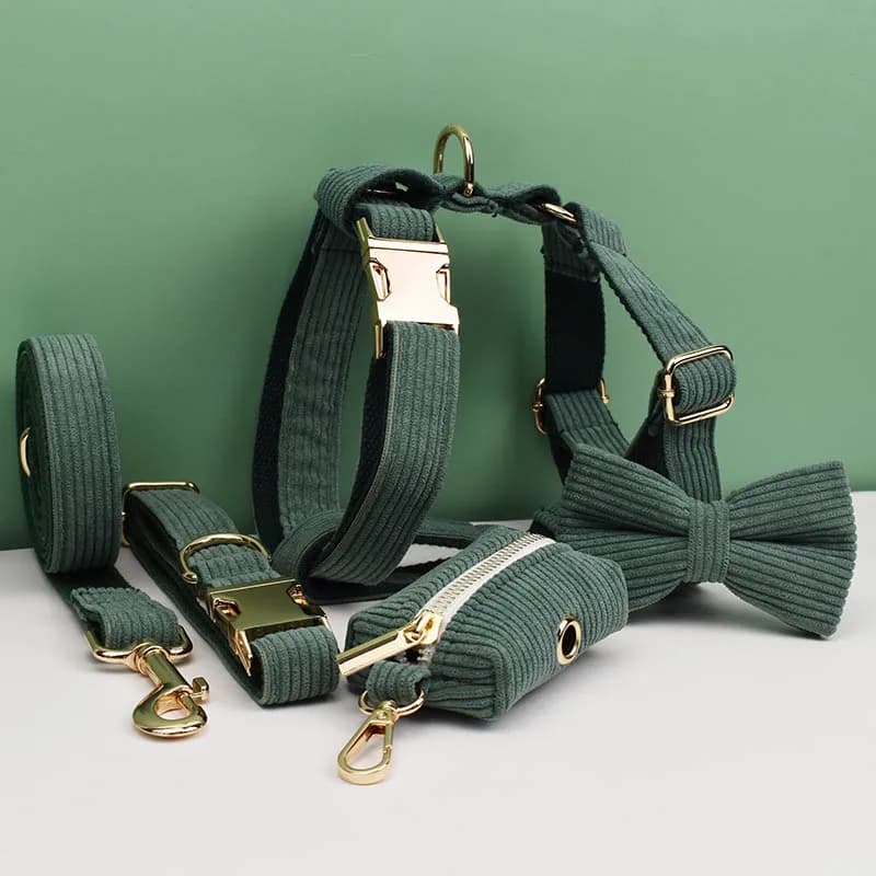 Set Collare e Guinzaglio per Cani in Velluto a Coste Verde Scuro con Targhetta Personalizzabile - Accessori per Animali Domestici Corduroy04