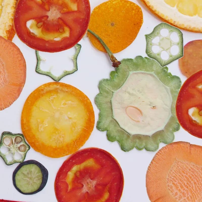 30 pezzi, campioni di verdure e frutta pressati okra mirtillo / cetriolo pomodoro kumquat fetta di fragole materiale manuale per piante fai da te