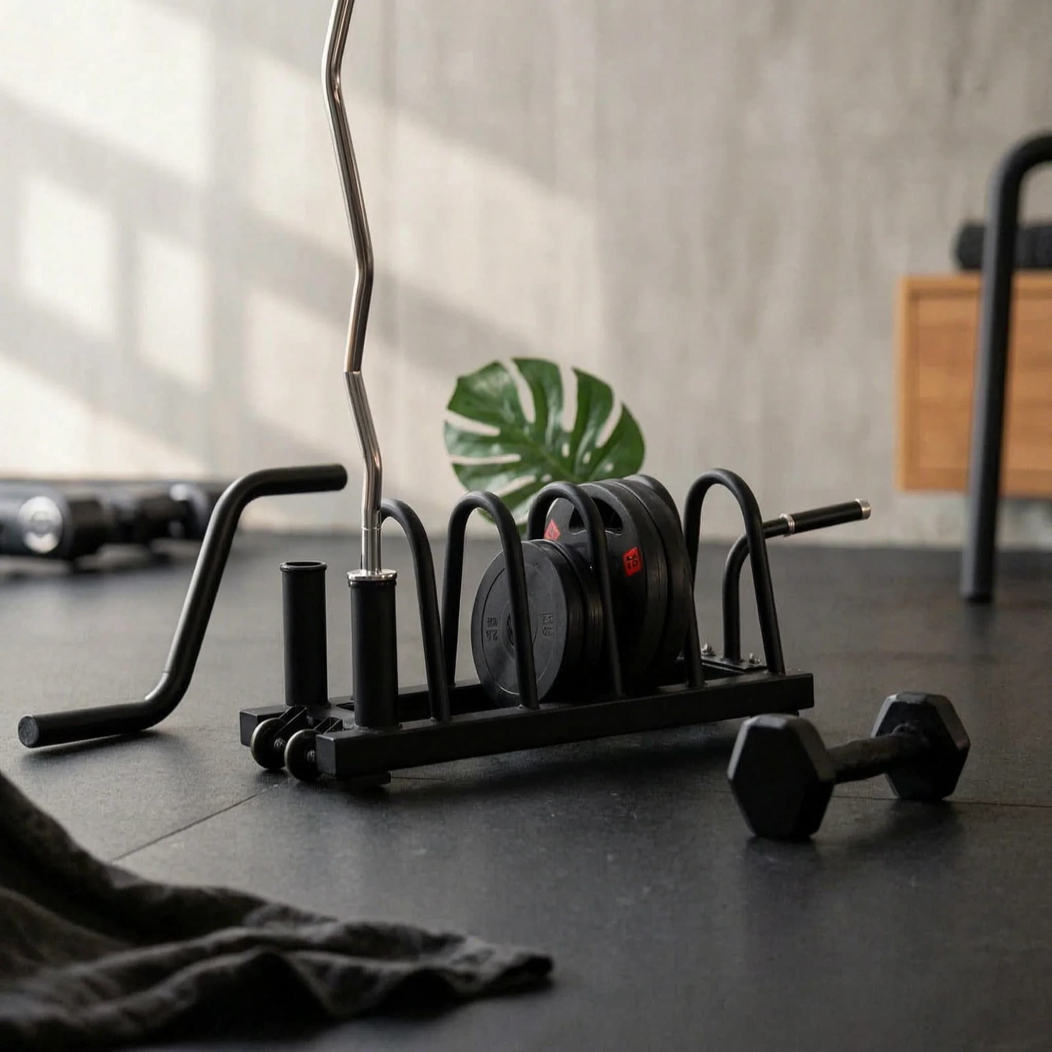 Weight Plate Cart with Wheels Rolling Weight Rack with Barbell Holders Barbell Holder Mobile Gym Organizer Sturdy