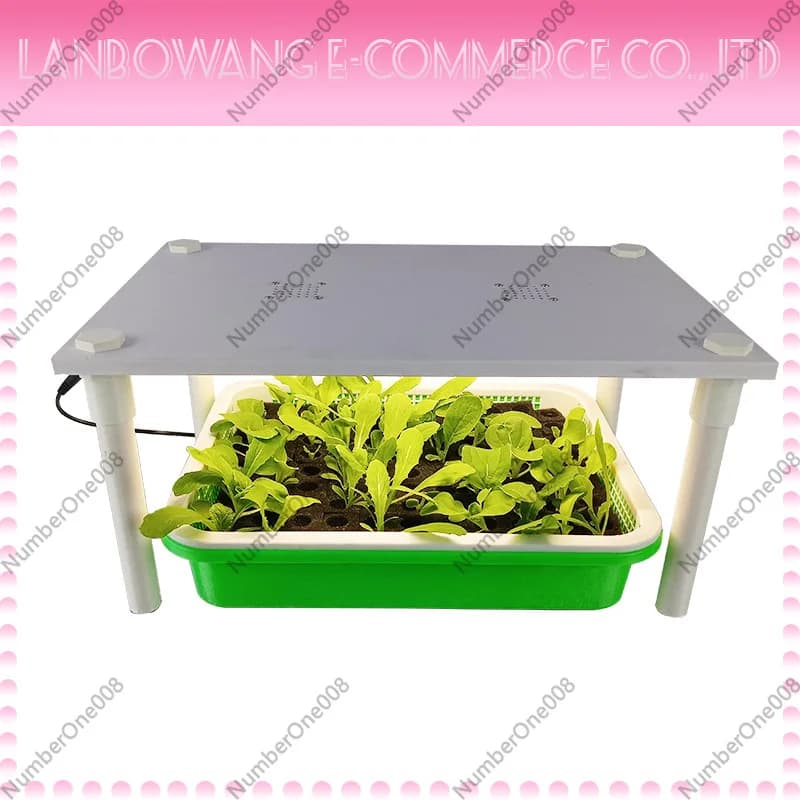 Hydroponic Seedling Box Soilless Cultivation Germination Kit Vegetable Flower Seeds Sprouting Tray for Teaching Experiment