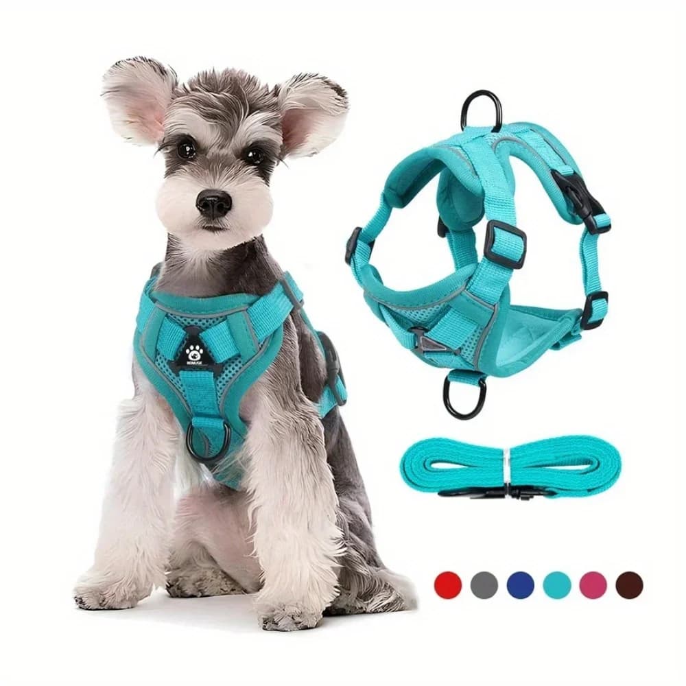 Set Pettorina e Guinzaglio per Cani Senza Strappi, Pettorina Regolabile per Cani di Piccola Taglia e Gatti, Cinghia Pettorale Riflettente per Passeggiate