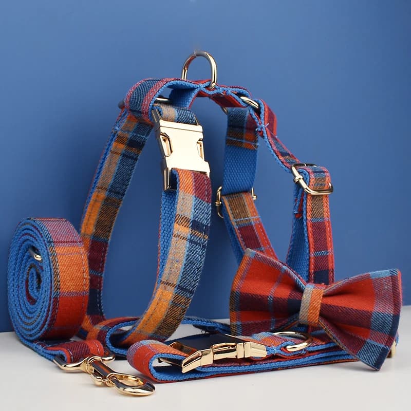 Set collare e guinzaglio per cani scozzese per cani Imbracatura incisa personalizzata Forniture per animali Guinzaglio per cani