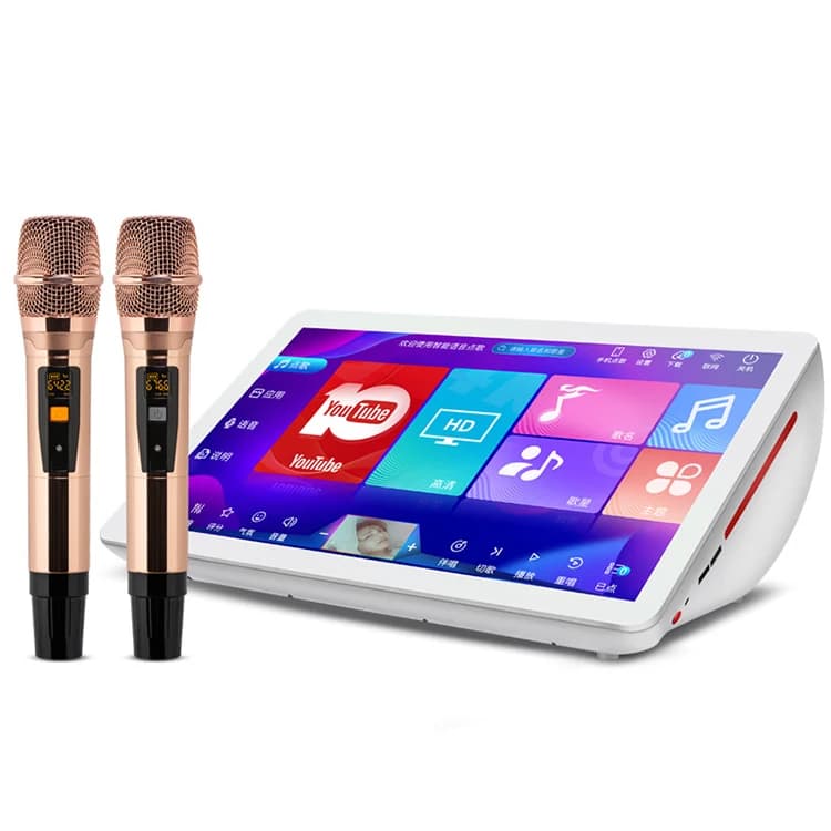 Chenisok 2025 Ultimo Modello 19.5 4 in 1 2T Lettore Karaoke Professionale Portatile, Sistema Karaoke Durevole per Casa e KTV