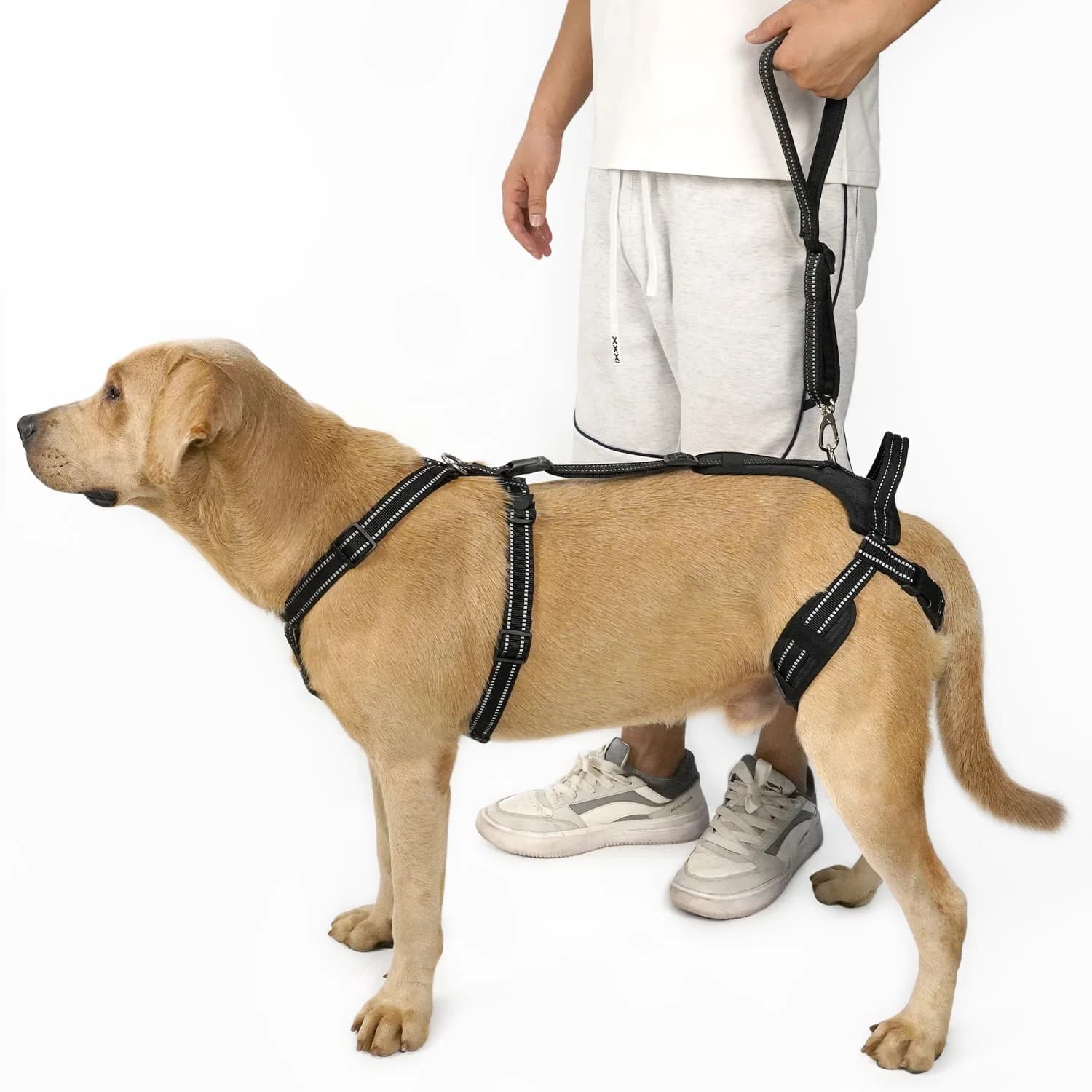 Adjustable Reflective Pet Dog Hind Limb Support Strap Anti-slip Walking Aid Belt for Joint Injury Senior Dogs