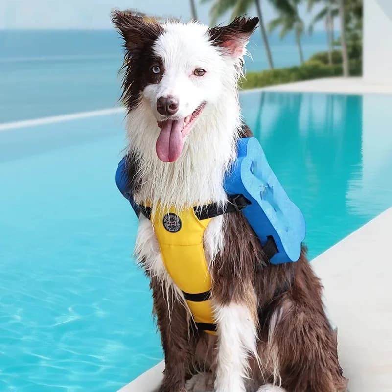 Giubbotto di salvataggio 2 in 1 per cani estivo, regolabile, con pettorina per il nuoto e per passeggiate all'aperto
