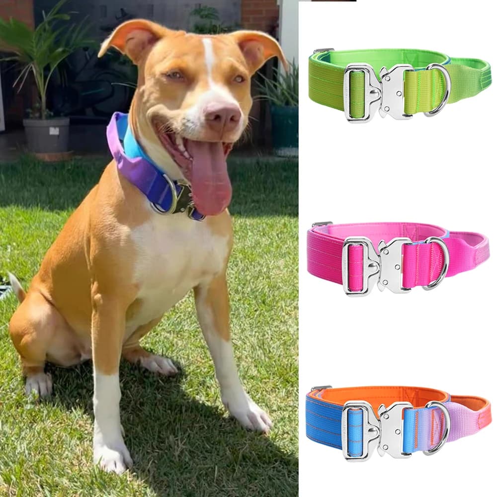 Collare Sfumato alla Moda per Cani di Taglia Media e Grande, Set Guinzaglio e Collare per Passeggiate