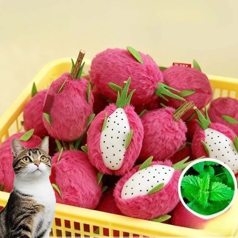 Giocattolo da masticare in peluche per gatti, erba gatta, interattivo, resistente ai morsi, drago, frutta, gattino, giocattolo carino per la pulizia dei denti, giocattolo per gatti