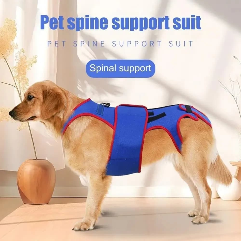 Tutore per la schiena per cani regolabile, addensato, confortevole, per cani, vestiti lenitivi, protezione per la schiena traspirante, imbracatura di supporto per animali domestici all'aperto