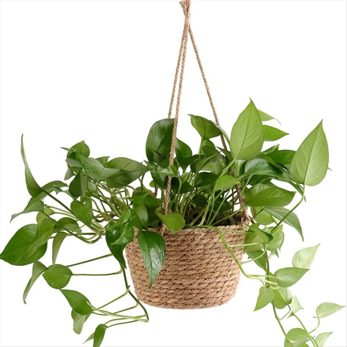A24I Garden Hanging Planter Macrame Plant Storage Basket Jute Rope Woven Indoor Outdoor Flower Pot Holder Coffee Color M