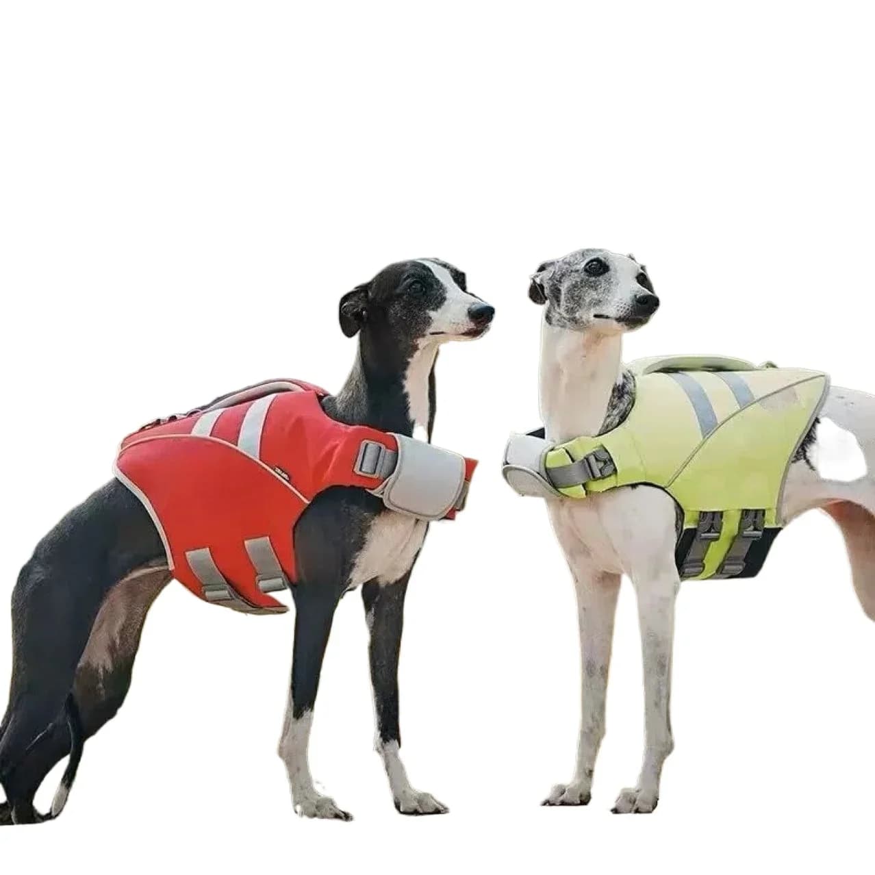 Costume da bagno per cani, giubbotto di salvataggio antistrappo per cani di taglia media e grande con striscia riflettente, galleggiante