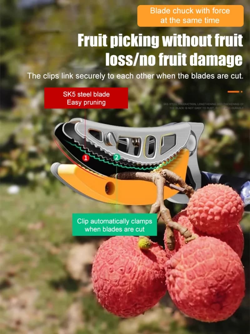 Litchi fruit picker high altitude telescopic pole pruning shears fruit shears litchi special fruit picker