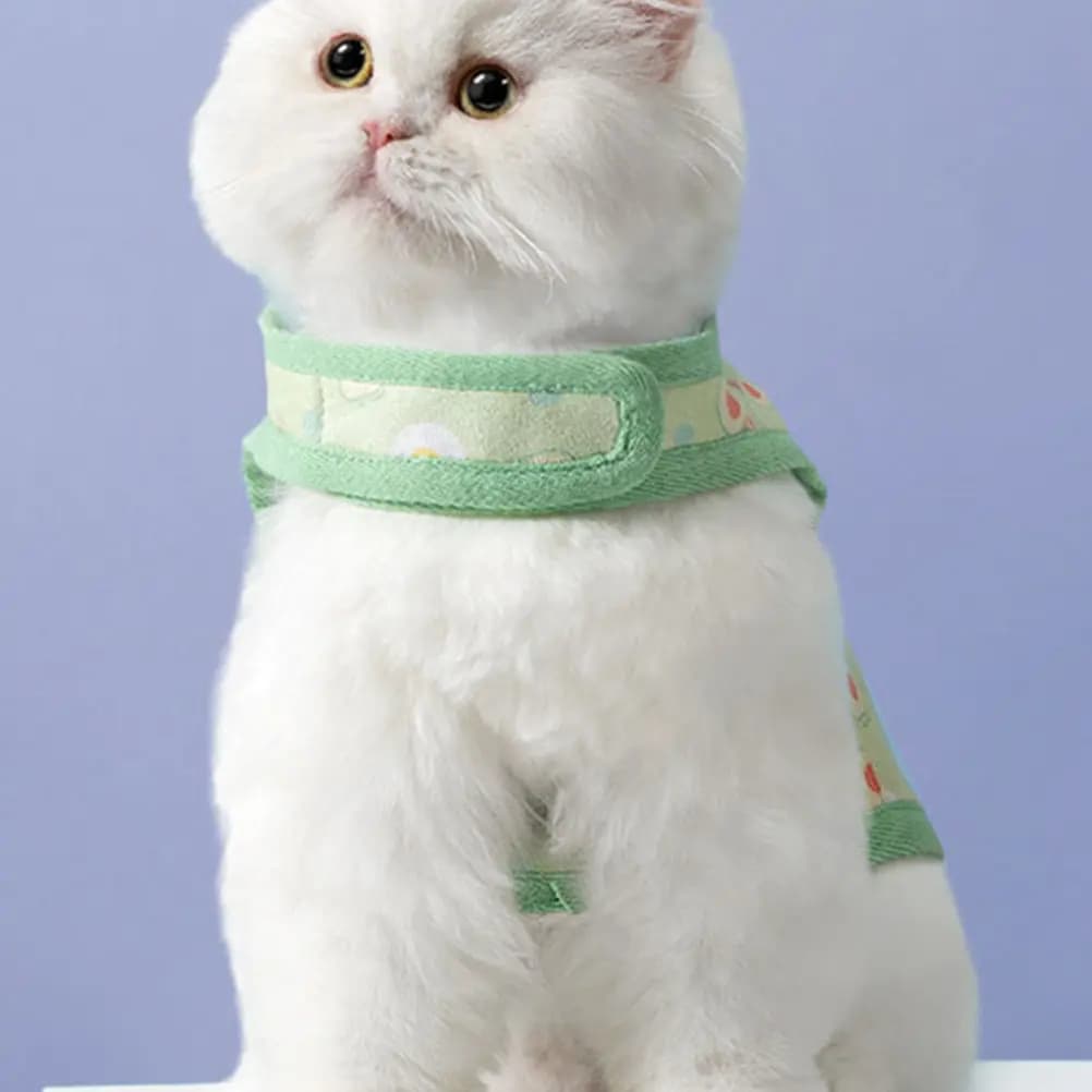 Set Guinzaglio e Pettorina per Gatti in Pelle Scamosciata Premium Traspirante Regolabile con Stampa Avocado, Guinzaglio per Cuccioli, Pettorina per Cani per Passeggiate all'Aperto