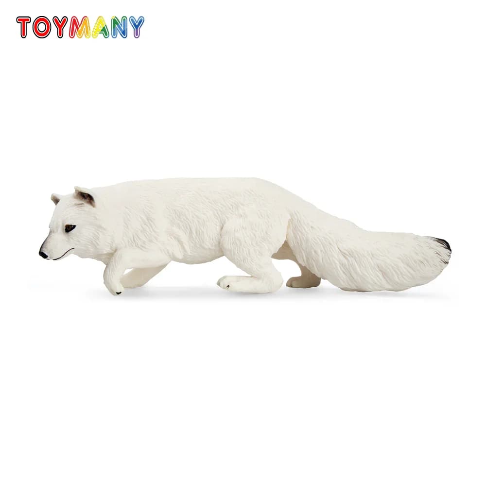 Toymany Simulazione Volpe Artica Modello Animale Polare Giocattolo Mini Figure Bambole Action Figurine Giocattoli per Bambini Regalo