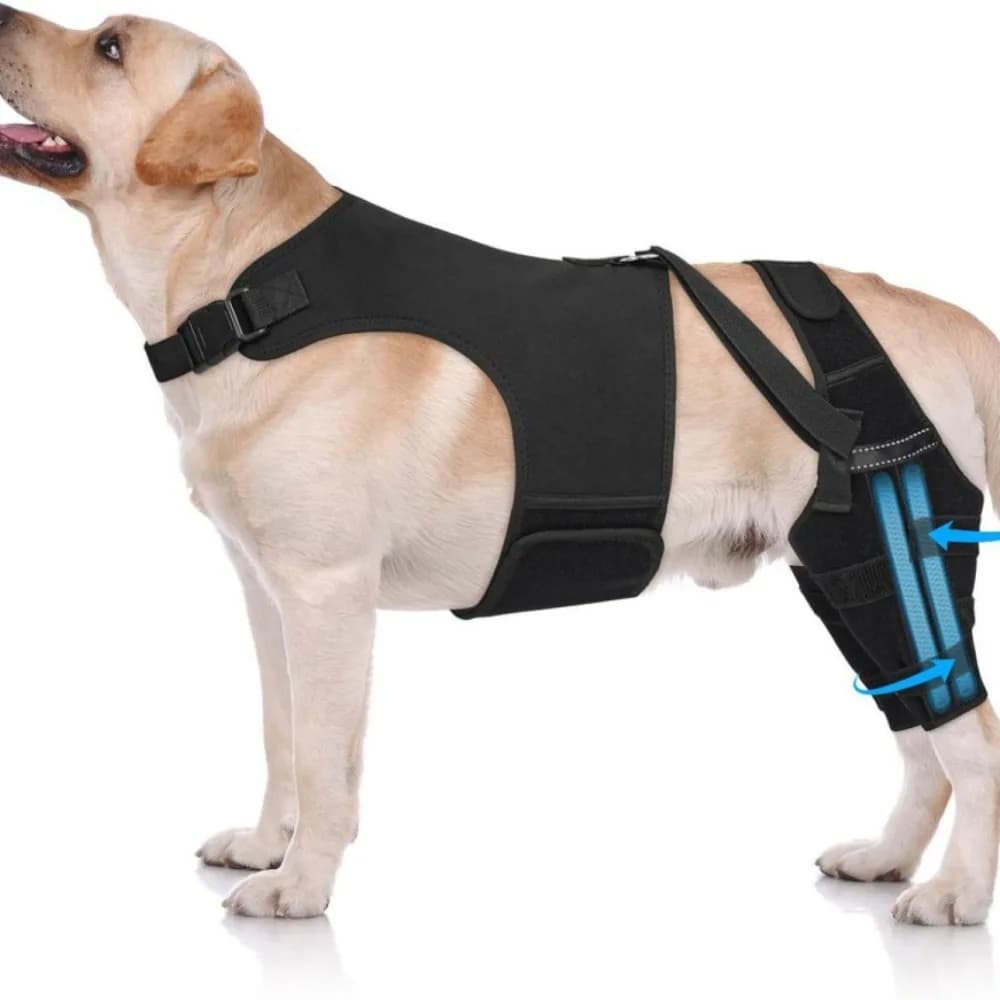 Supporto per Ginocchio Regolabile per Cani, Traspirante e Confortevole, Nero con 4 Stabilizzatori, Protezione Articolare