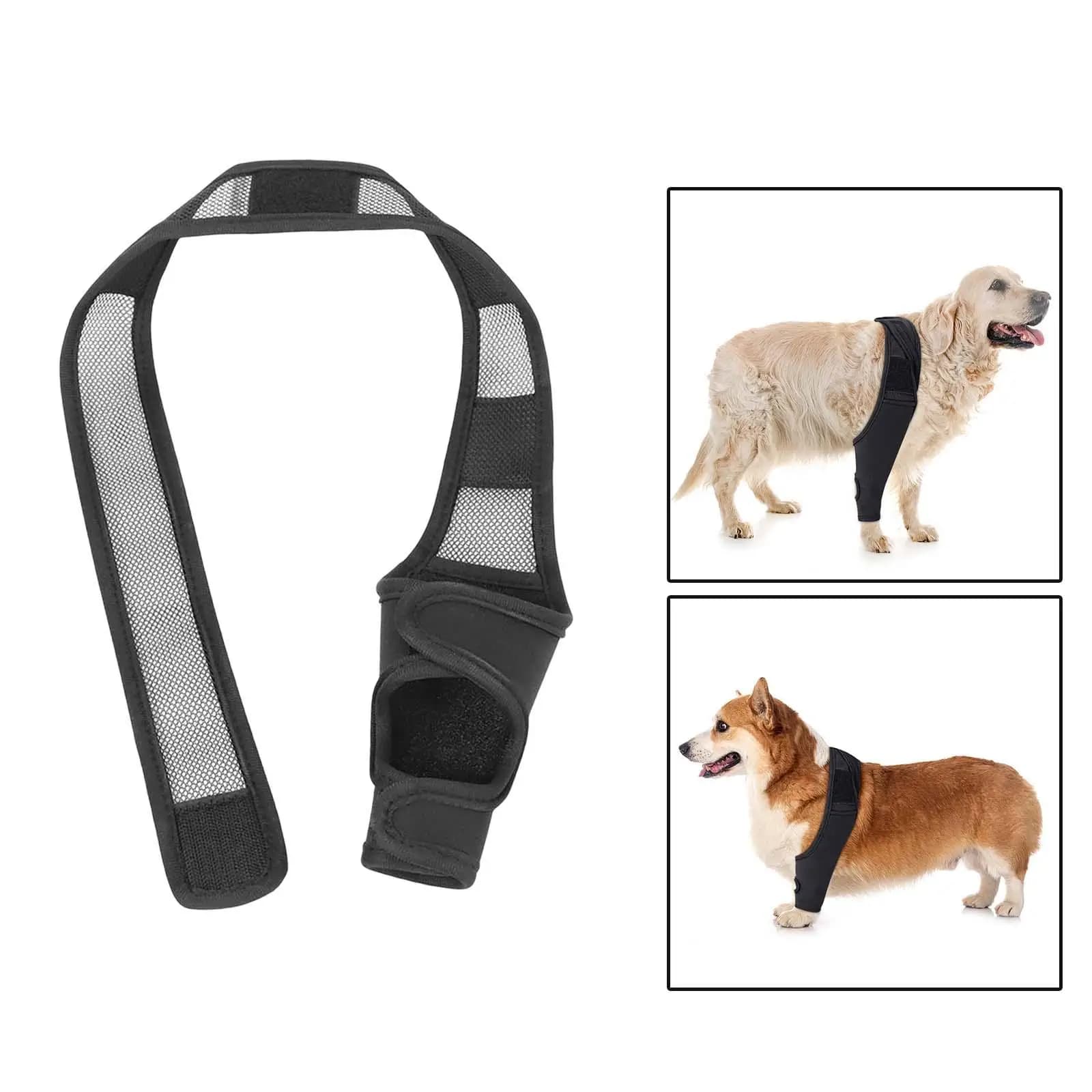 Supporto Ortopedico per Ginocchia di Cani di Tutte le Razze, per Zampe Anteriori e Posteriori, Imbracatura in Neoprene per Cani