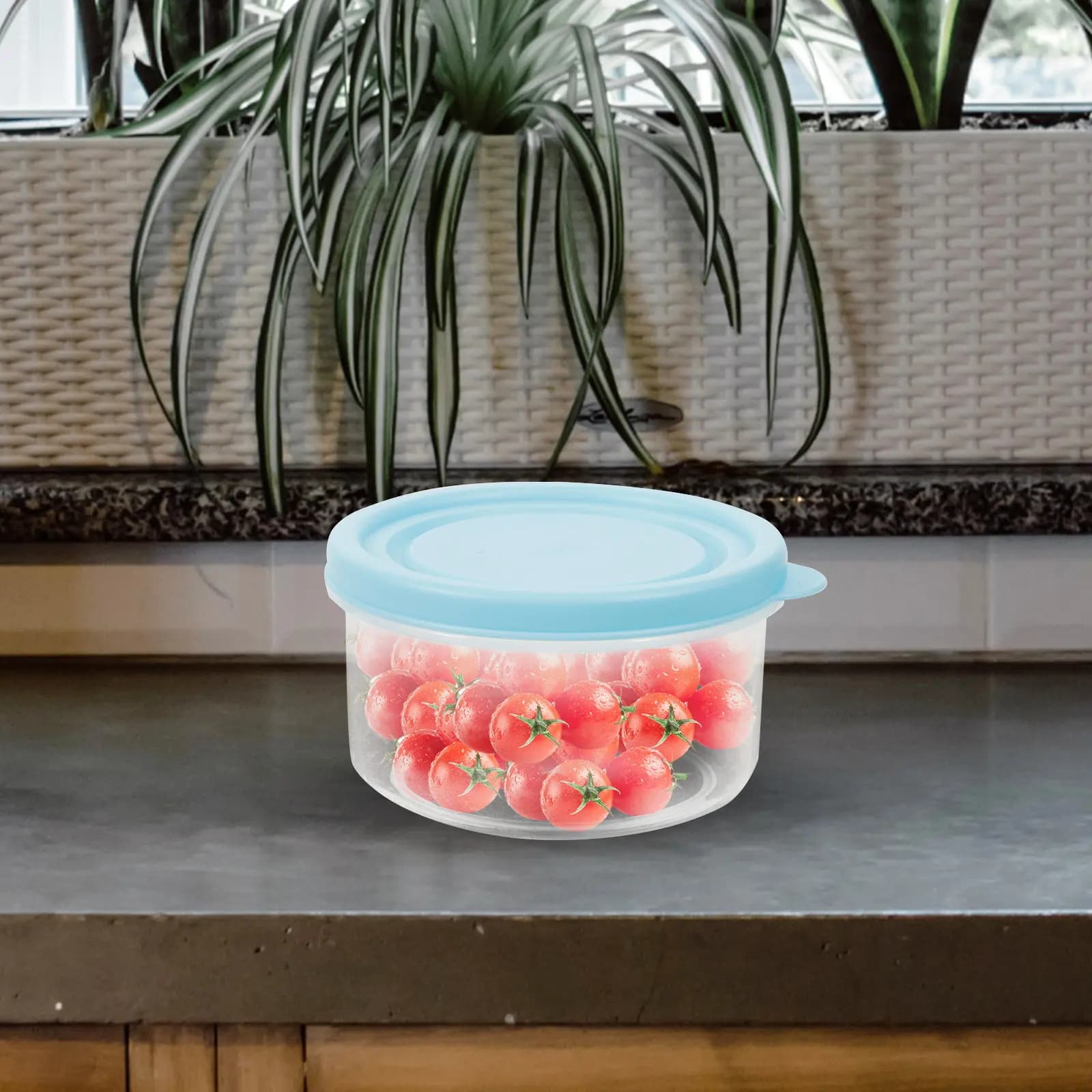 Set di 12 Contenitori Ermetici per Freezer, Scatole Multiuso per Conservazione Alimenti, Contenitori Portatili Riutilizzabili per Preparazione Pasti, Conservazione Frutta, Insalata e Frutta Secca