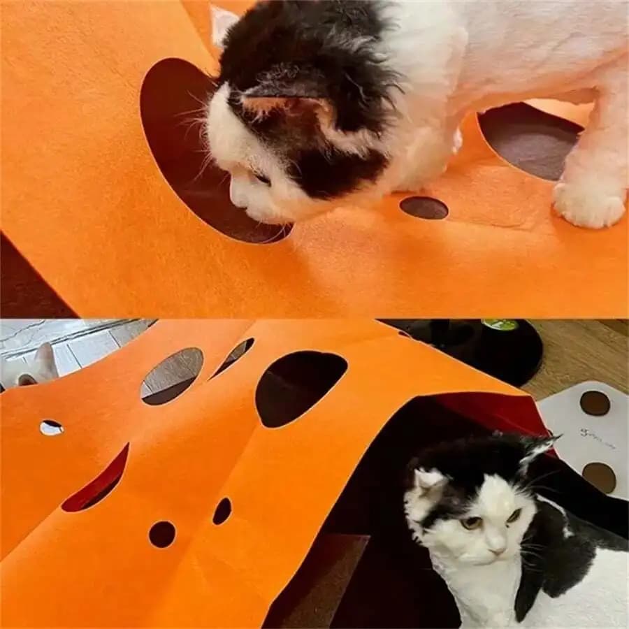 Polyester Interactive Cat Tunnel Toy With Play Mat Detachable Foldable For Cats Dogs Hide And Seek Chewing Pad