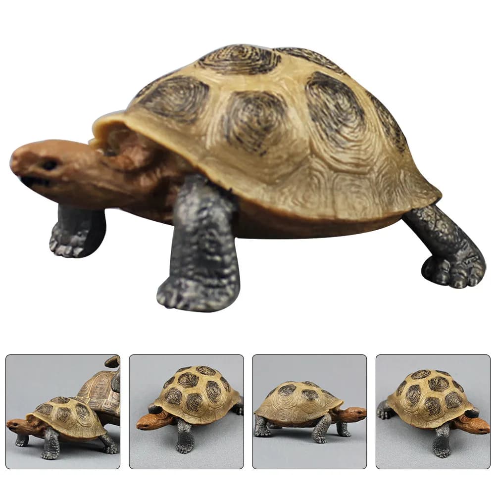 Plastic Land Tortoise Realistic Lifelike Land Turtle Decoration Educational Ocean Animal Cognitive Desktop Ornament