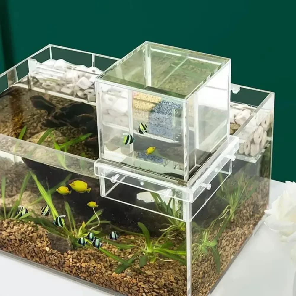 Acquario a Pressione Negativa per Paesaggistica, Unico e Accattivante, in Acrilico Sospeso, Facile da Installare