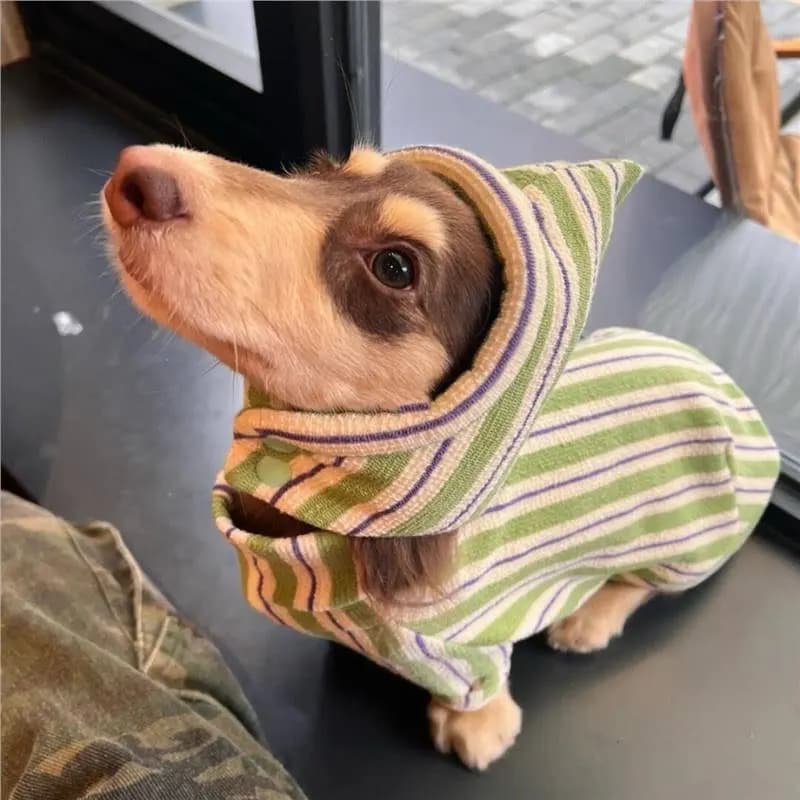 Green Stripe Sweatshirt for Wiener Dogs Winter Vest Warm Dachshund Teddy Small Dog Medium Dog Silk Flower Jumpsuits Soft Coat