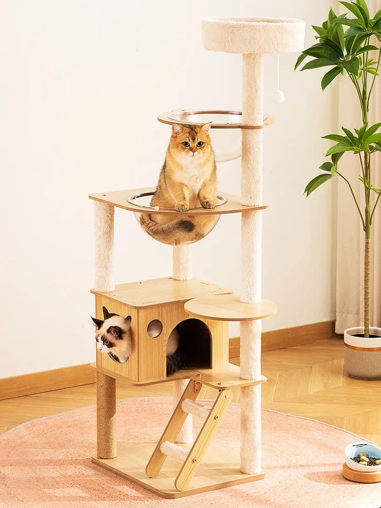 Struttura da arrampicata per gatti nido per gatti albero per gatti integrato in legno massello