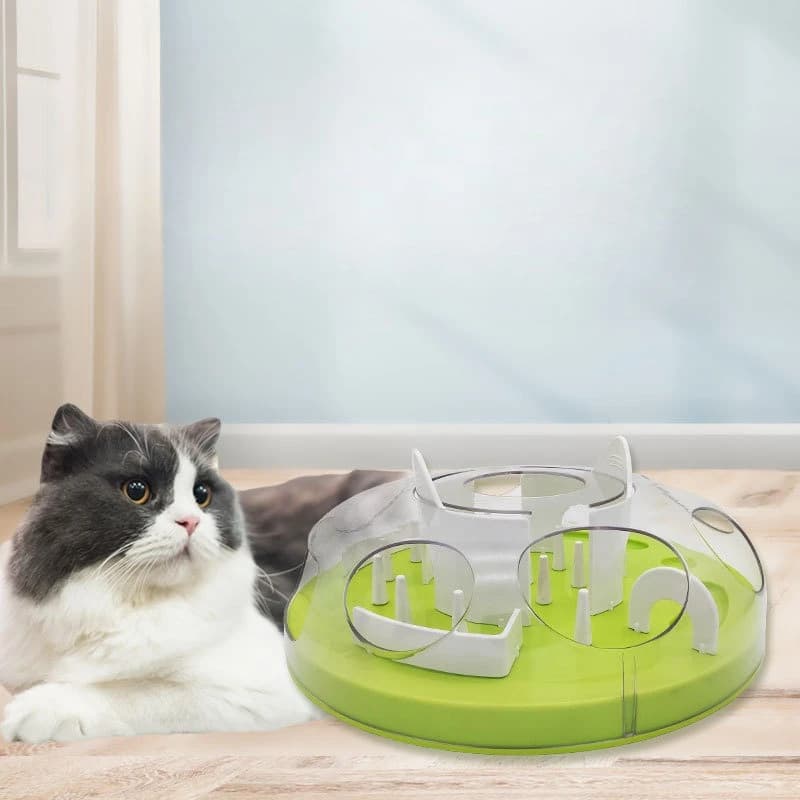 Ciotola Lenta per Gatti, Giocattolo Interattivo per L'Addestramento e il Puzzle, Combinazione di Accessori per Animali Domestici