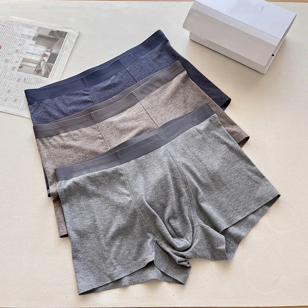 Men's Mid-High Waist Briefs Underwear Smooth Surface No Trace Winter Series Three Pack in a Box Boxer Shorts Panties